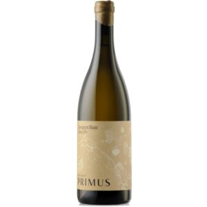 Terra "Z"<br>Sauvignon Blanc <br>unfiltriert